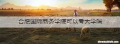 合肥国际商务学院可以考大学吗