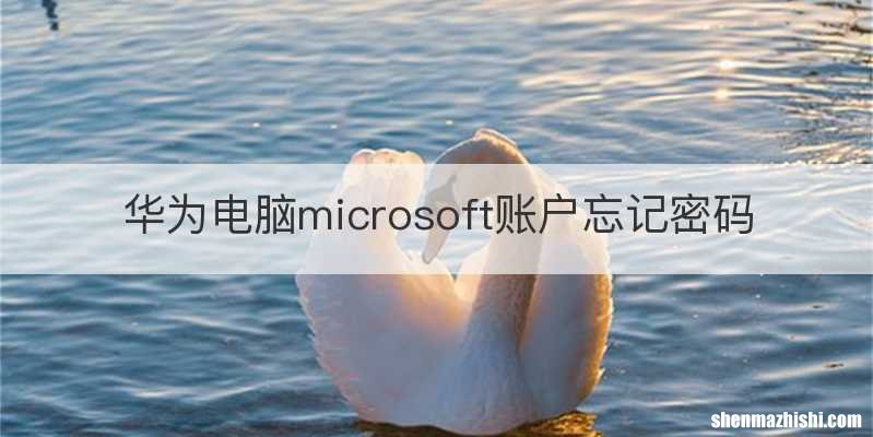 华为电脑microsoft账户忘记密码