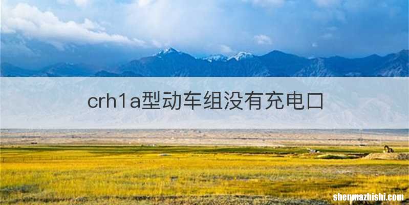crh1a型动车组没有充电口