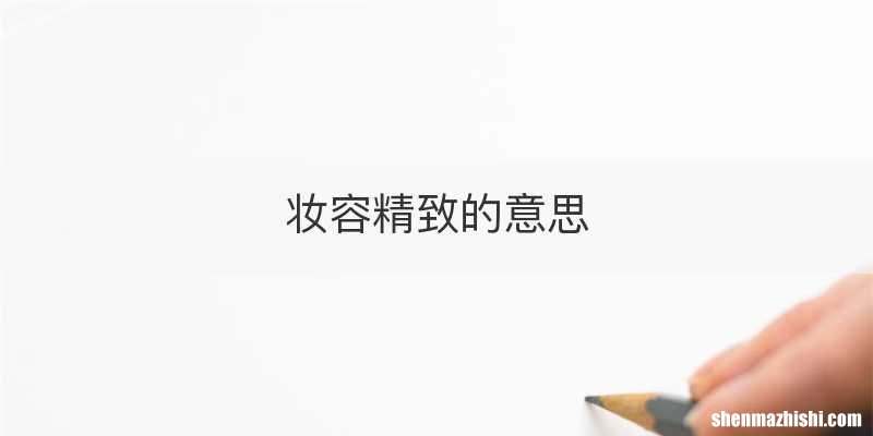 妆容精致的意思