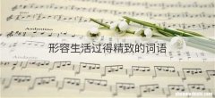 形容生活过得精致的词语