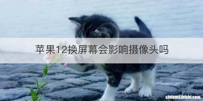 苹果12换屏幕会影响摄像头吗