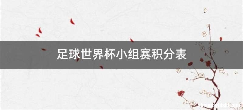 足球世界杯小组赛积分表