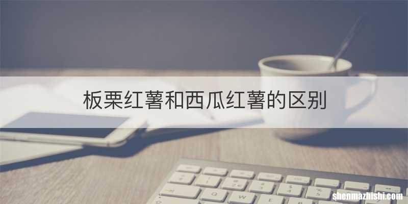 板栗红薯和西瓜红薯的区别