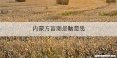 内蒙方言潮是啥意思
