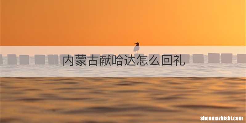 内蒙古献哈达怎么回礼