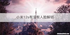 小米12s有没有人脸解锁