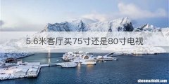 5.6米客厅买75寸还是80寸电视