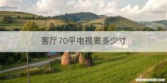 客厅70平电视要多少寸