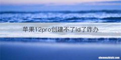 苹果12pro创建不了id了咋办