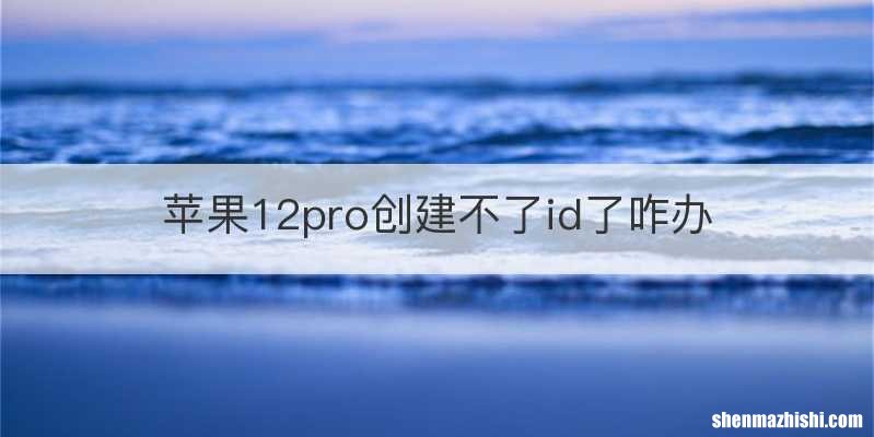 苹果12pro创建不了id了咋办