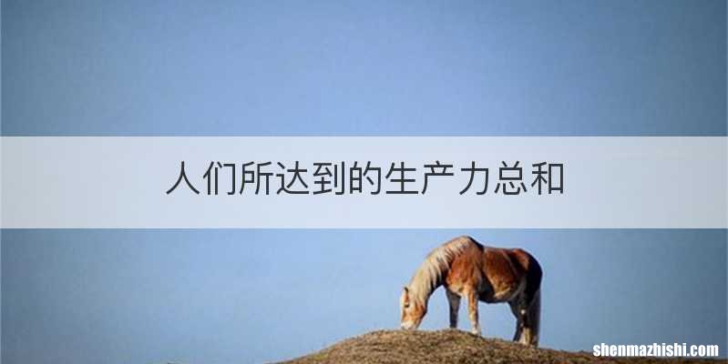 人们所达到的生产力总和