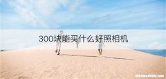 300块能买什么好照相机