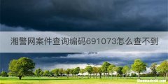 湘警网案件查询编码691073怎么查不到