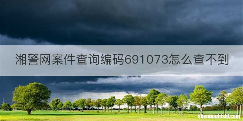 湘警网案件查询编码691073怎么查不到
