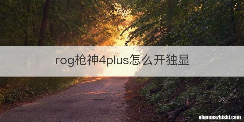 rog枪神4plus怎么开独显