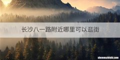 长沙八一路附近哪里可以逛街