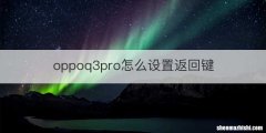 oppoq3pro怎么设置返回键