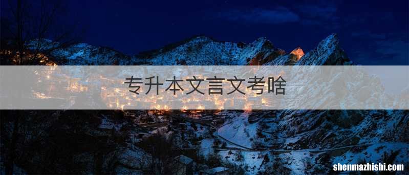 专升本文言文考啥