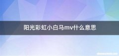 阳光彩虹小白马mv什么意思