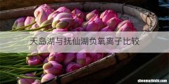 天岛湖与抚仙湖负氧离子比较