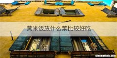 蒸米饭放什么菜比较好吃