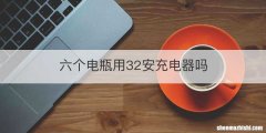 六个电瓶用32安充电器吗