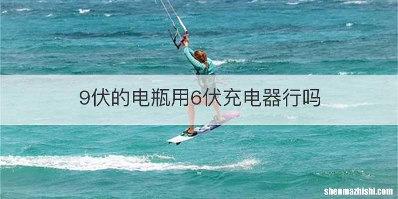 9伏的电瓶用6伏充电器行吗