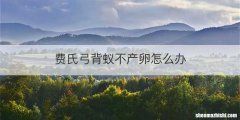 费氏弓背蚁不产卵怎么办