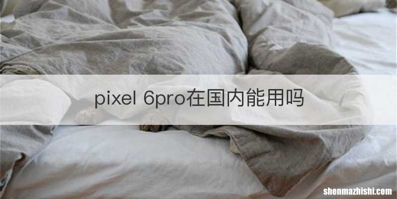 pixel 6pro在国内能用吗