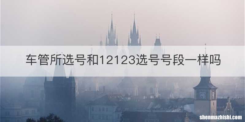 车管所选号和12123选号号段一样吗