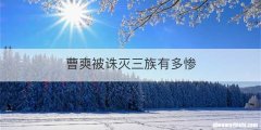 曹爽被诛灭三族有多惨