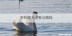 中科院大连有分院吗