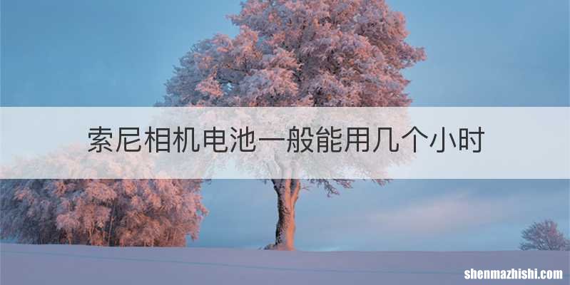 索尼相机电池一般能用几个小时