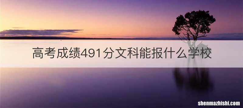 高考成绩491分文科能报什么学校