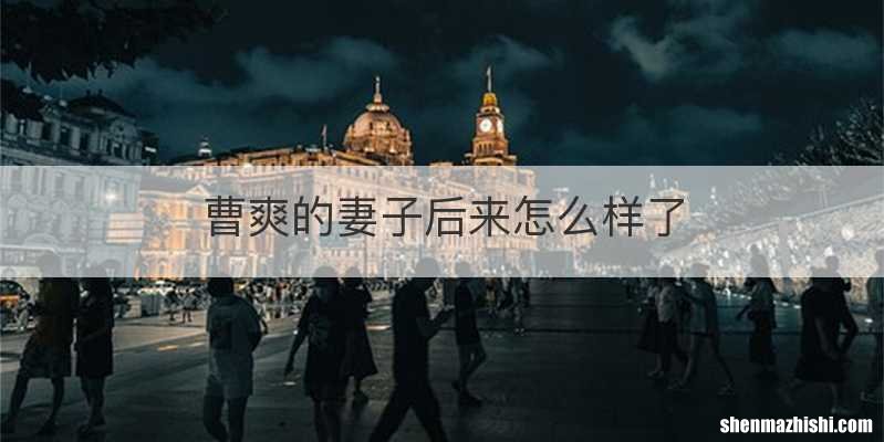 曹爽的妻子后来怎么样了