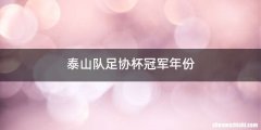 泰山队足协杯冠军年份