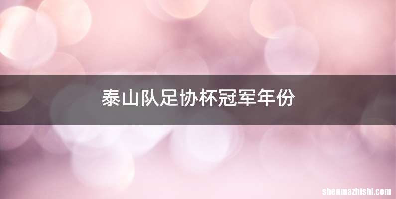 泰山队足协杯冠军年份