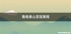 鲁能泰山亚冠赛程