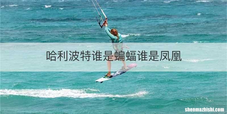 哈利波特谁是蝙蝠谁是凤凰