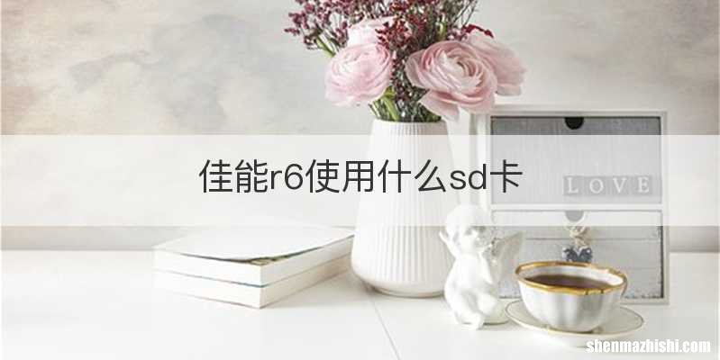 佳能r6使用什么sd卡