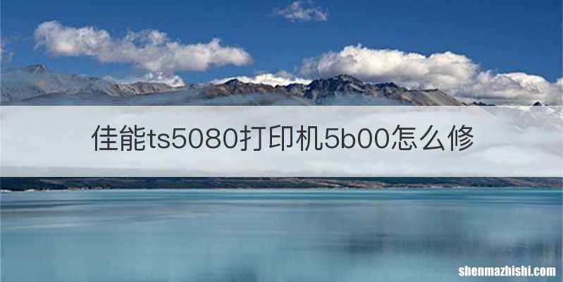 佳能ts5080打印机5b00怎么修