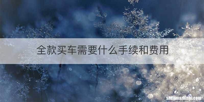 全款买车需要什么手续和费用