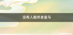 没有人能终老皇马