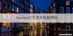 haylourt2不连手机能用吗