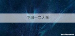 中国十二大学