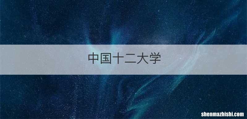 中国十二大学