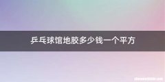 乒乓球馆地胶多少钱一个平方