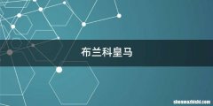 布兰科皇马