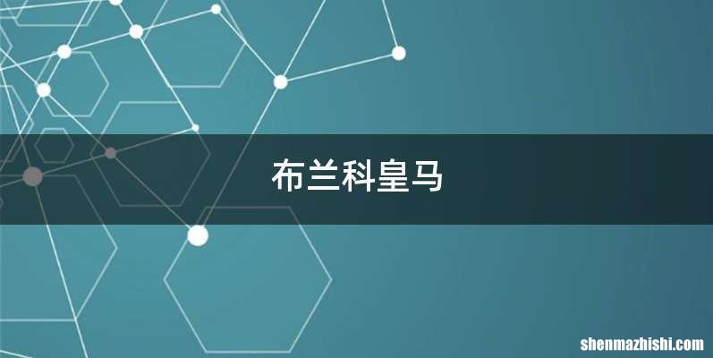 布兰科皇马